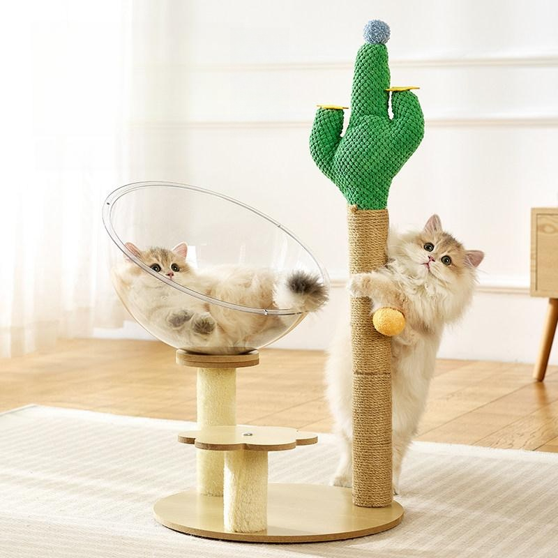 고양이 캡슐침대 아크릴 투명 반구형 여름용 반려동물 대형 놀이터 둥지 캣타워 - 상품 이미지