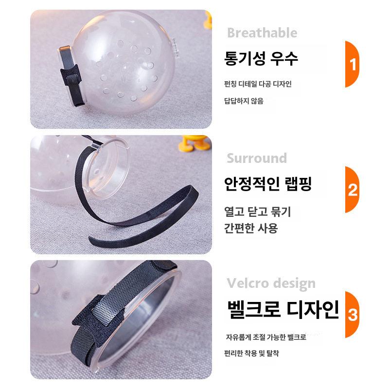 애견투명헬멧 충돌방지 노견 강아지 고양이 보호구 반려동물 - 상세 이미지 4