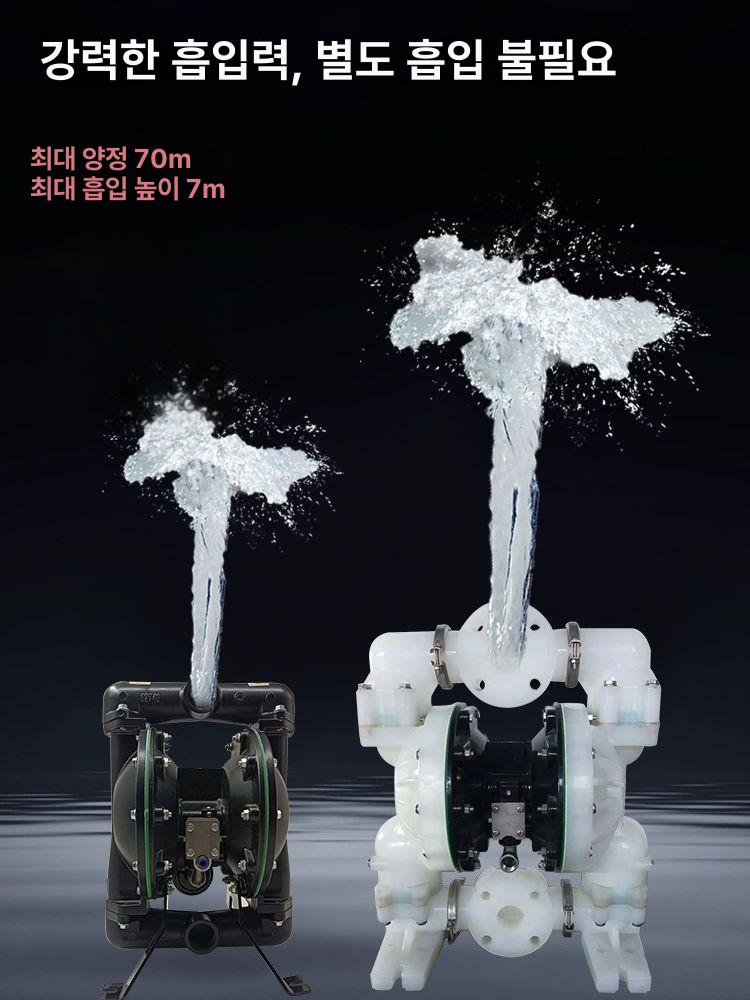 공압 다이아프램 펌프 산업용 순환 합금 유량 양수기 고무 이송 플라스틱테프론 페인트 부식 - 상세 이미지 3
