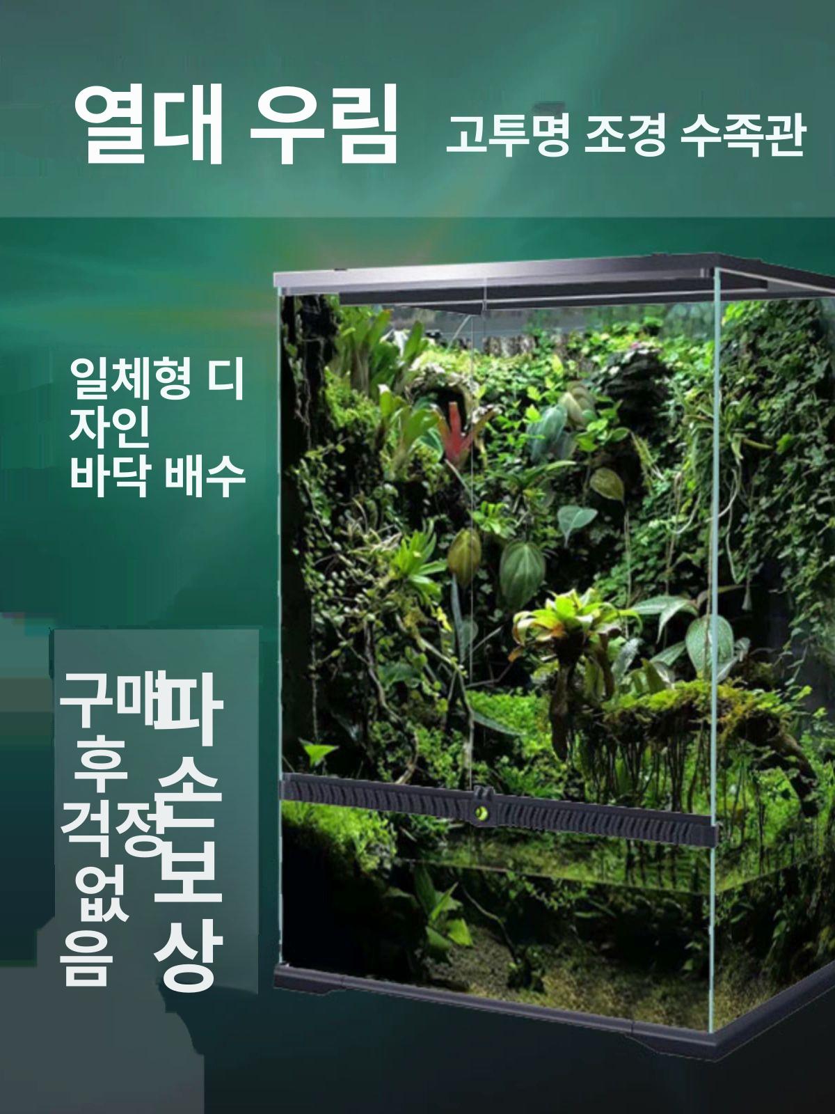 테라리움 수조 어항 식물키트 수족관 이끼 키트 이끼키우기 키우기 배경판 양서류 김대호 - 상세 이미지 2