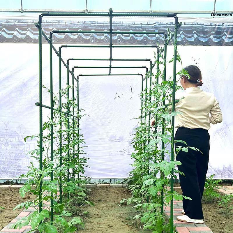포도나무지지대 원예용 덩굴식물지지대 고추 조립식 호박 넝쿨지지대 장미 파이프 텃밭 - 상세 이미지 2