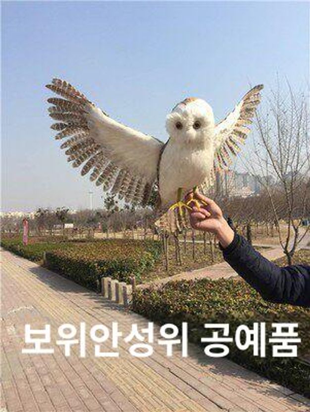 독수리 조류퇴치 모형 대형 새 과수원 농작물 모델 이글 맹금류 퇴치 부엉이 실사 보호 - 상세 이미지 4