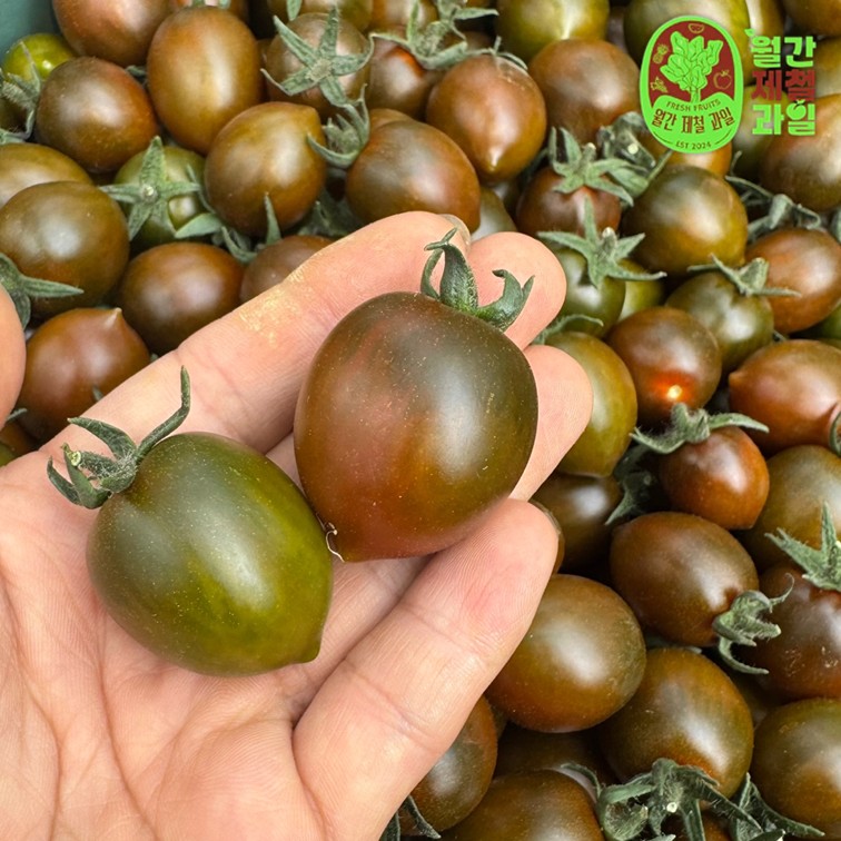 대저 토마토 흑대추 토마토 스테비아 방울토마토 완숙 대추토마토 대추토마토 구매팁