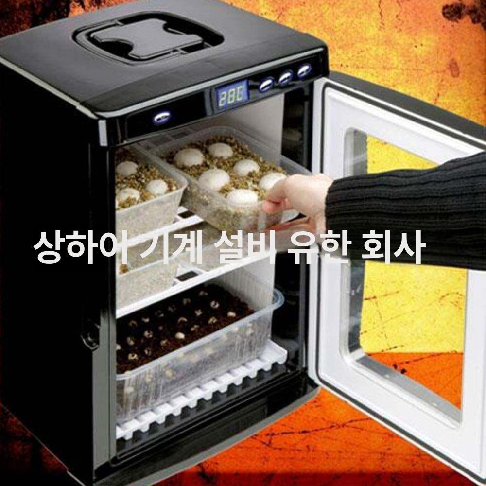 파충류부화기 인큐베이터 게코 도마뱀 거북이 해칭 - 상세 이미지 2