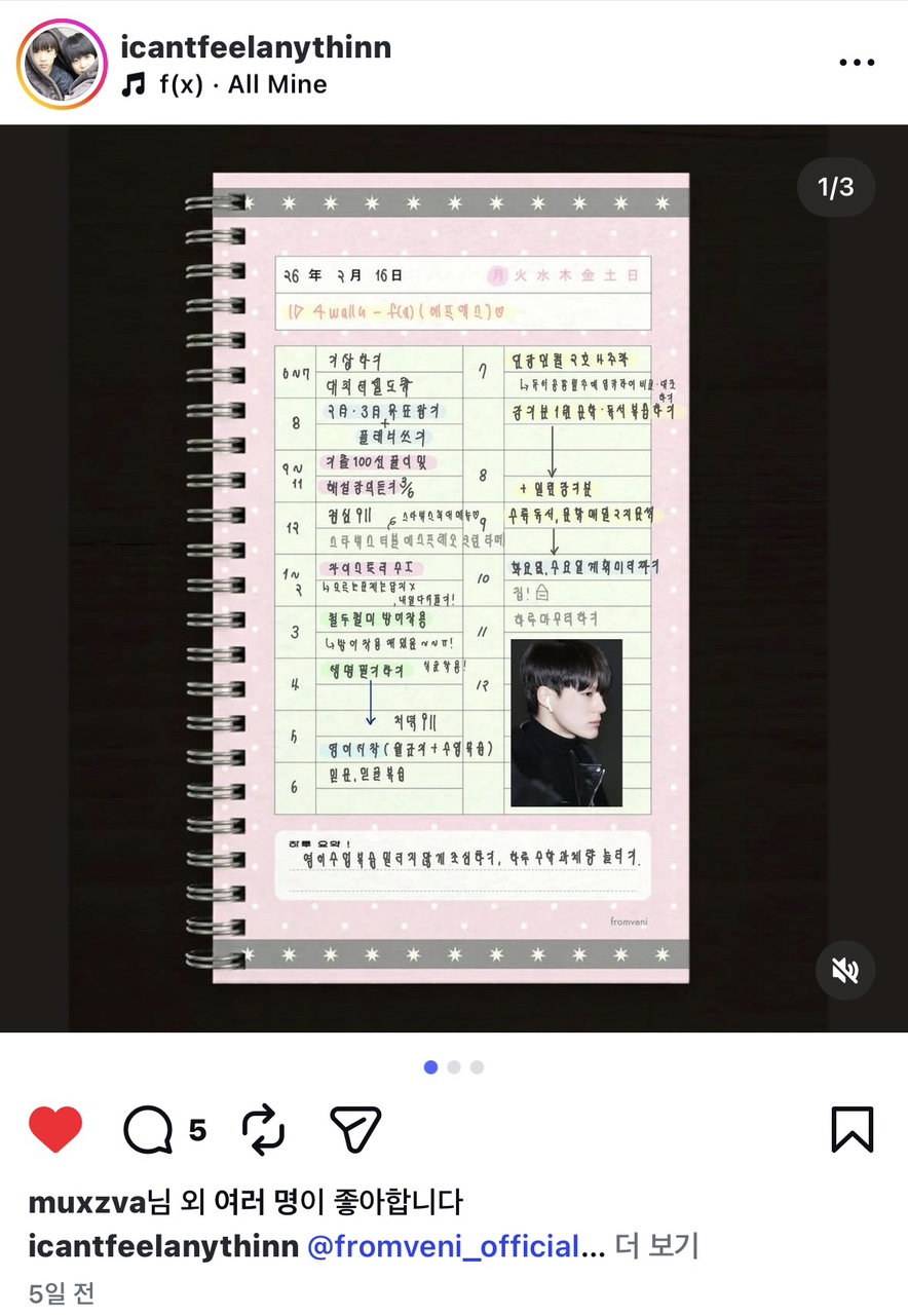 dot 도트 30분 스터디플래너 굿노트 양식 템플릿 디지털 pdf 이미지 8