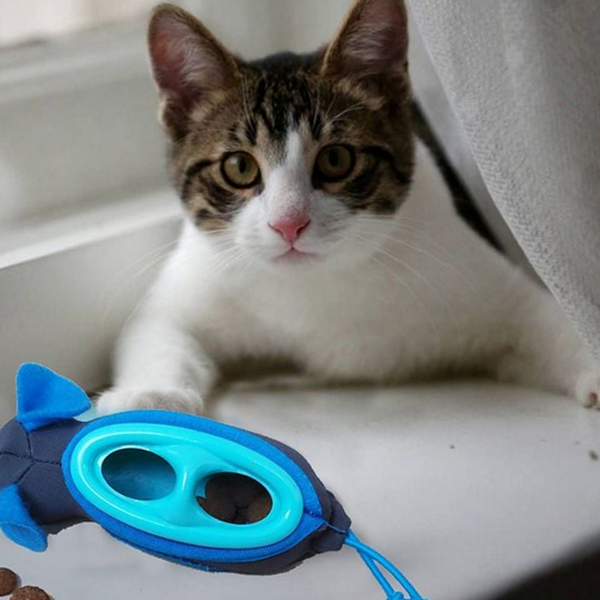 반려동물 고양이 먹이퍼즐 사냥 고양이 장난감 5p 먹이 - 상품 이미지