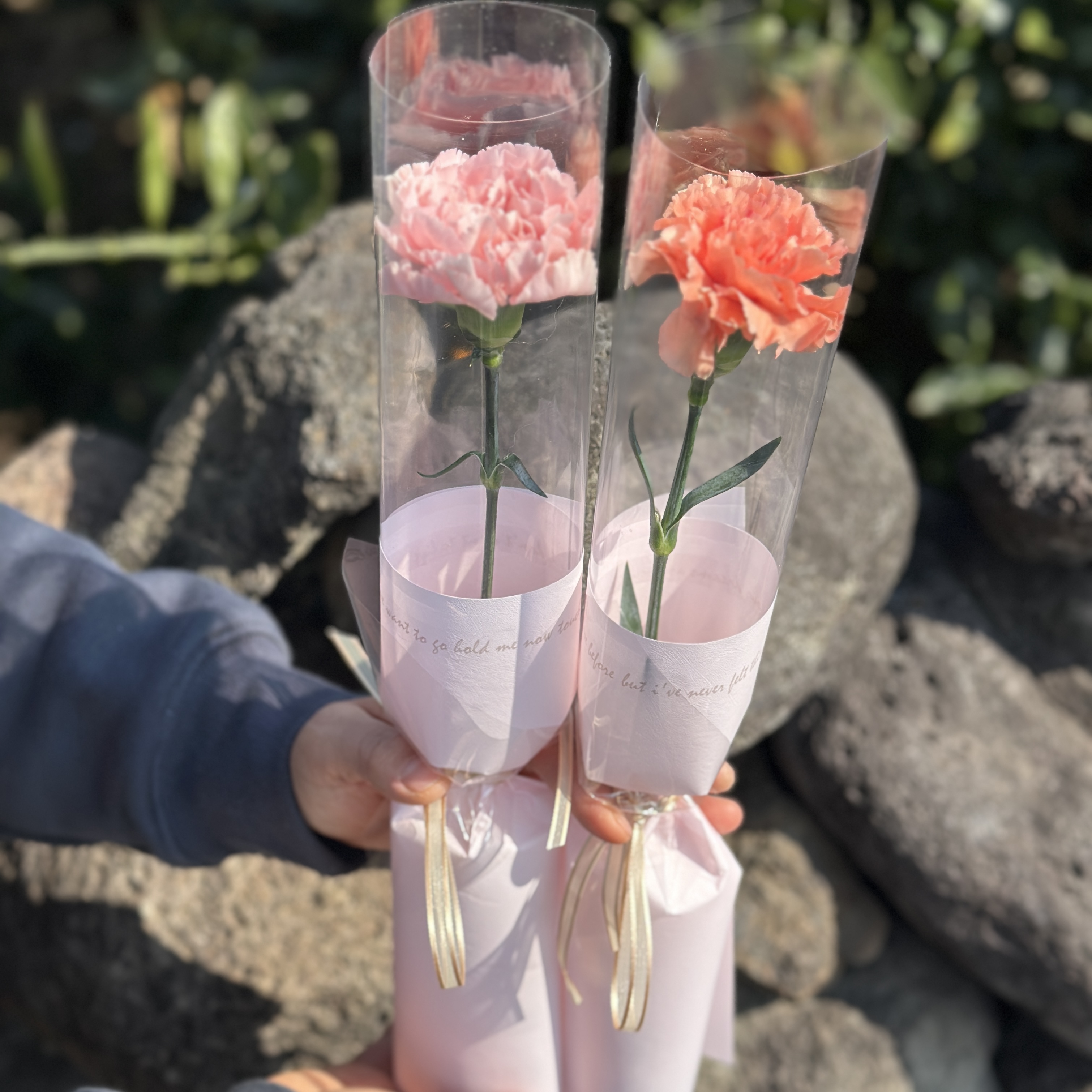 희록플라워 한송이 꽃 생화 카네이션 장미 한송이포장 단체 꽃다발 행사 답례품 선물 꽃배달 - 상세 이미지 2