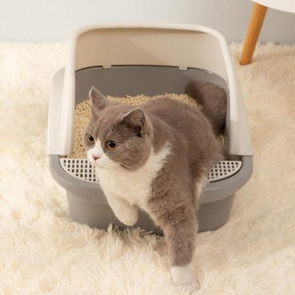 오픈형 고양이 화장실 플라스틱 고양이 모래통 실내 대소변 - 상품 이미지