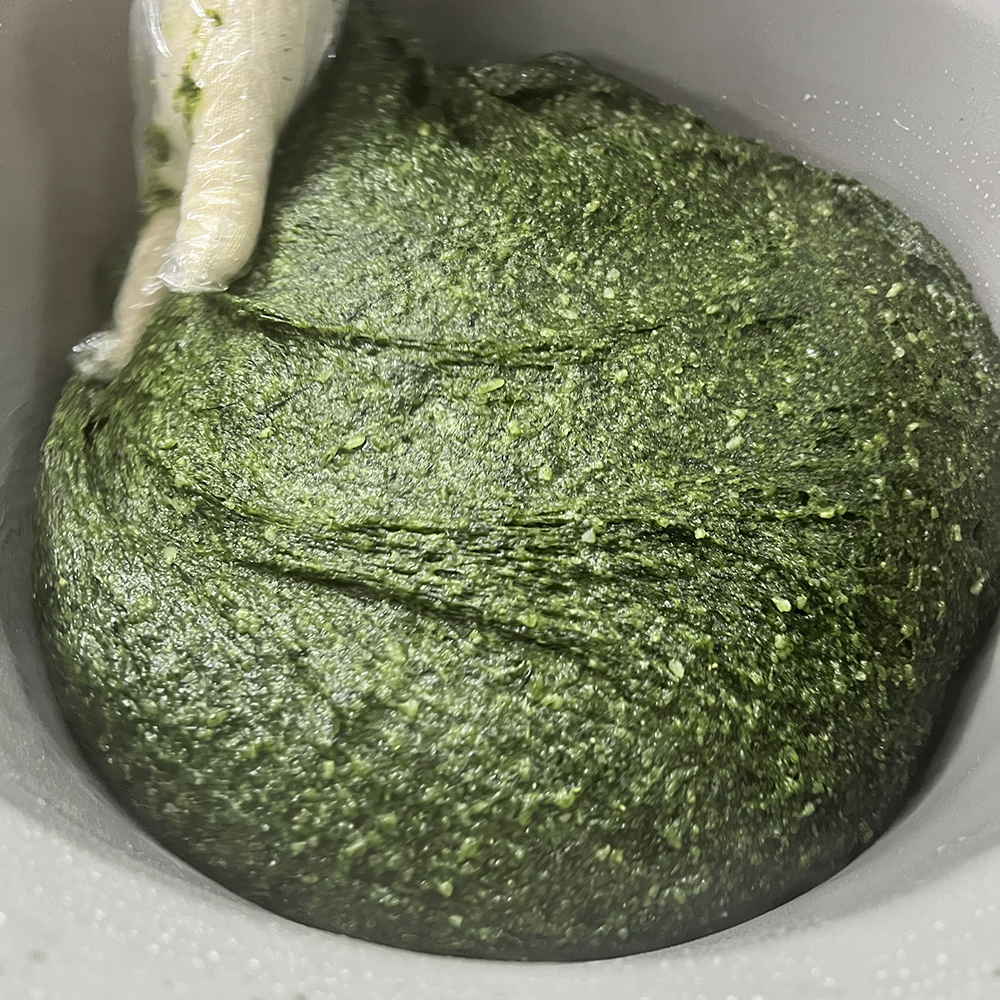 밥알쑥떡 1.5kg 진도 해풍쑥 전통 쑥떡 콩고물포함 당일생산 개별포장 식사대용 이미지 6