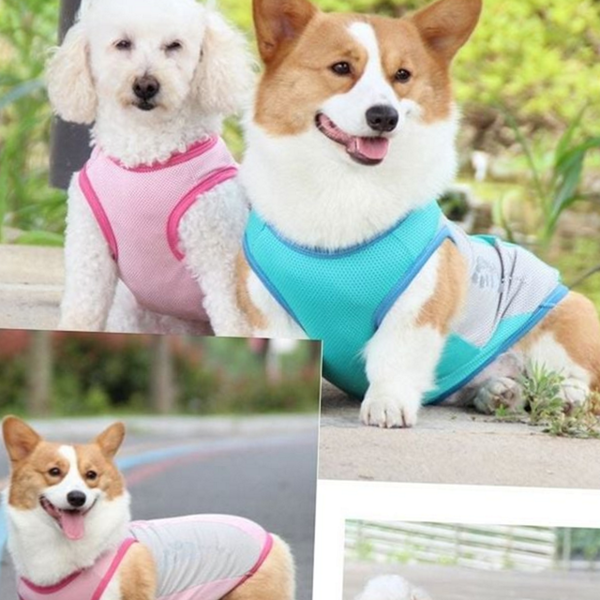 냉감 강아지 쿨 조끼 반사 강아지 여름 조끼 반려견 산책 - 상품 이미지