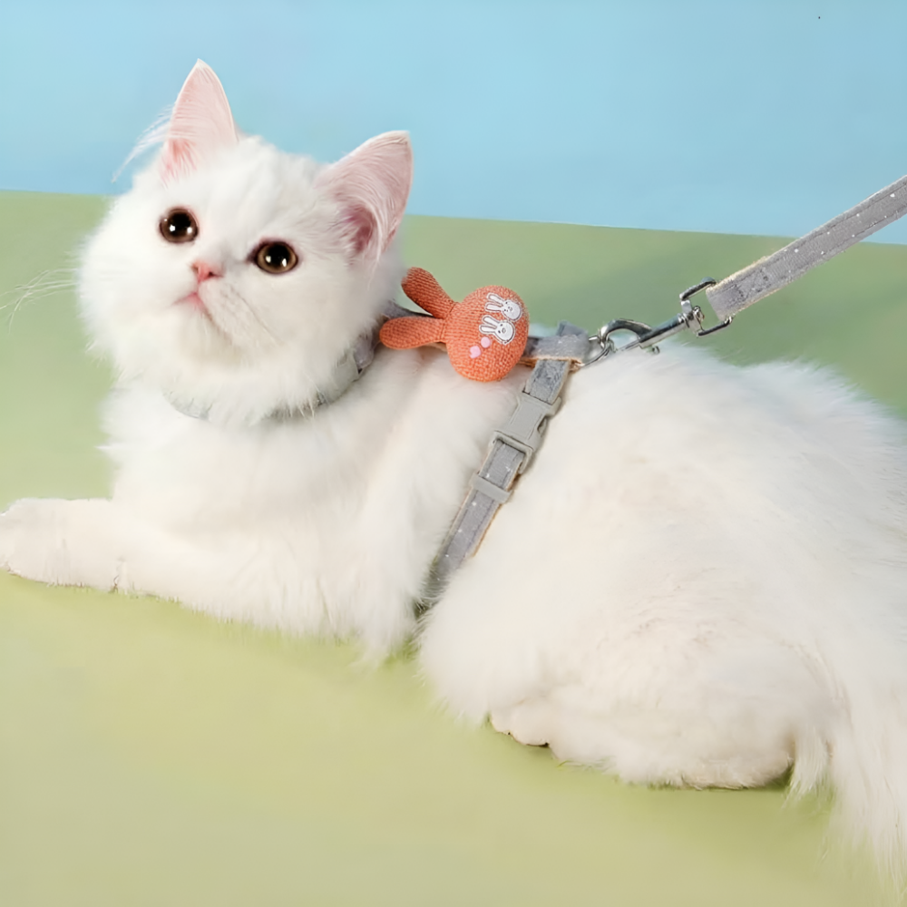 고양이 하네스 가슴줄 목줄 강아지 하네스 산책줄 이미지 6