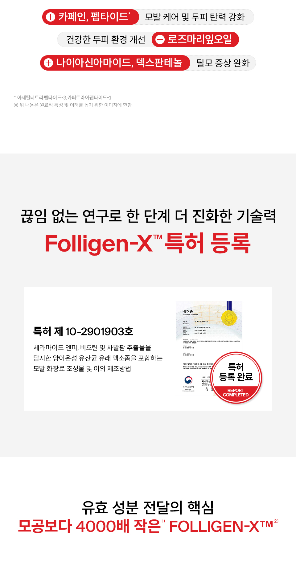 DR.FORHAIR Folligen Thickening Sea Salt Scalp Exfoliator - description 11