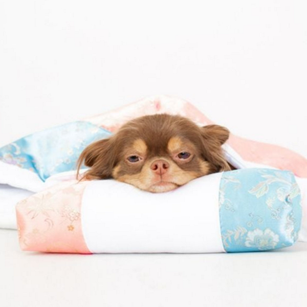 반려동물 강아지 이불 고양이 강아지 침낭 사계절 베개 - 상품 이미지