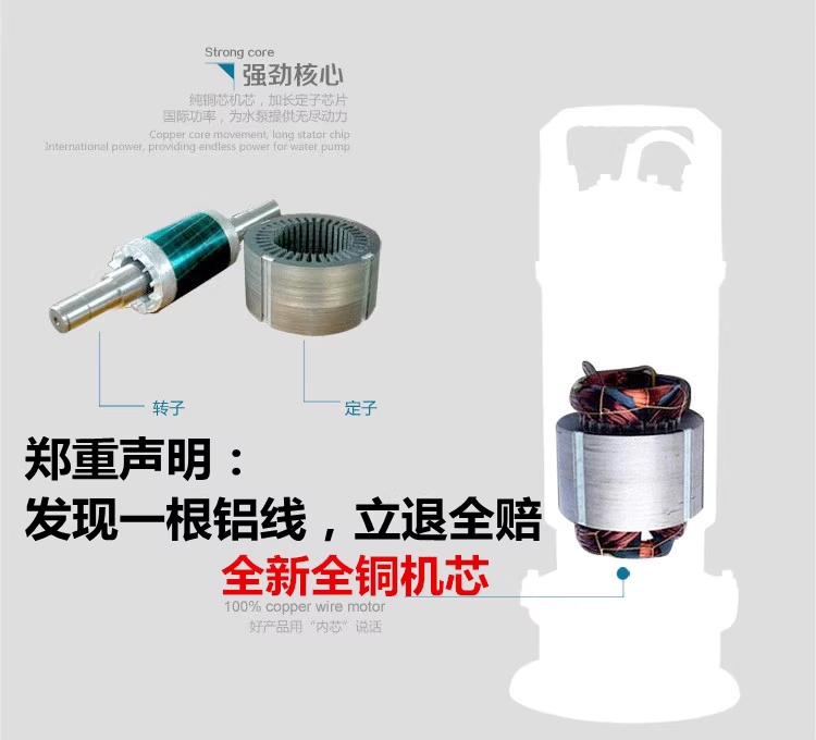 정화조 슬러지 펌프 양수기 모터 오수 폐수 수중 워터 550W 단상 1.5인치 - 상세 이미지 3
