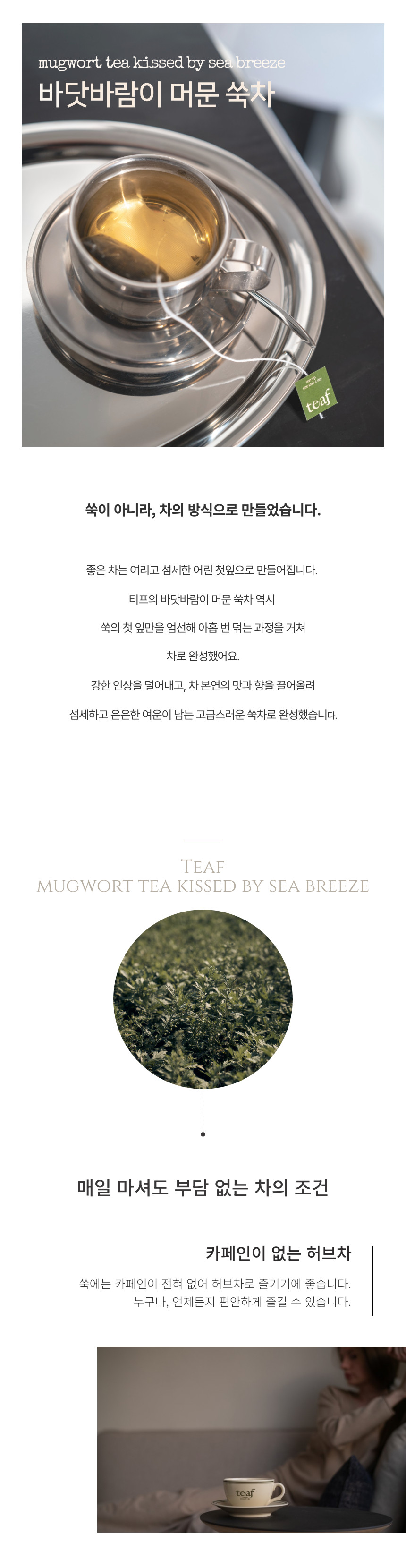 쑥차 상세 3