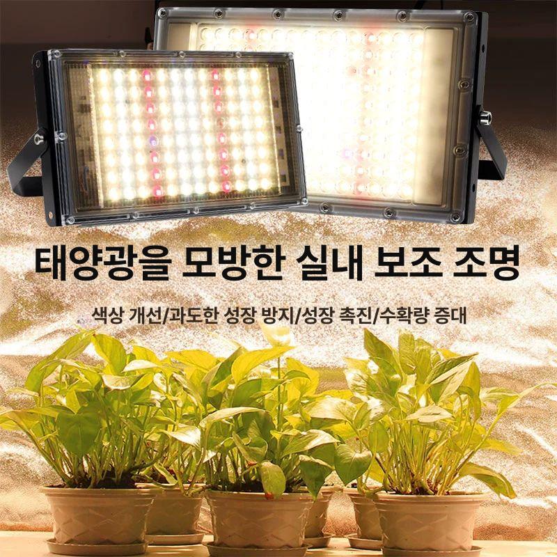 실내 화분 화초 램프 조명 성장 온실 led 과일 비료 인테리어식물 집들이선물 - 상세 이미지 3