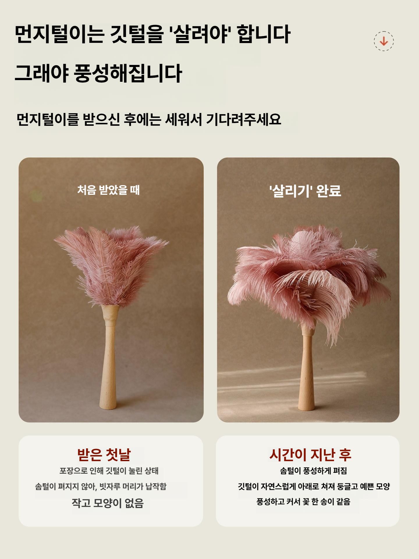 타조털 먼지털이 핑크 깃털 청소기 집안용 먼지제거기 인테리어 매장 - 상세 이미지 3