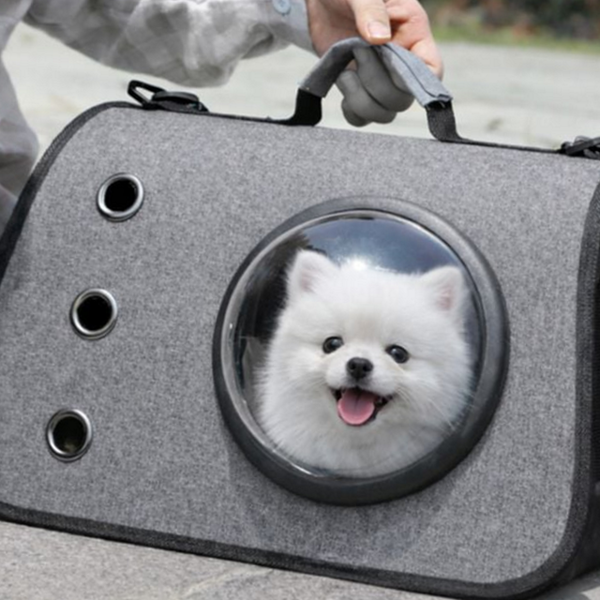 고양이 반려동물 이동가방 접이식 강아지 이동가방 캐리어 외출 - 메인 이미지