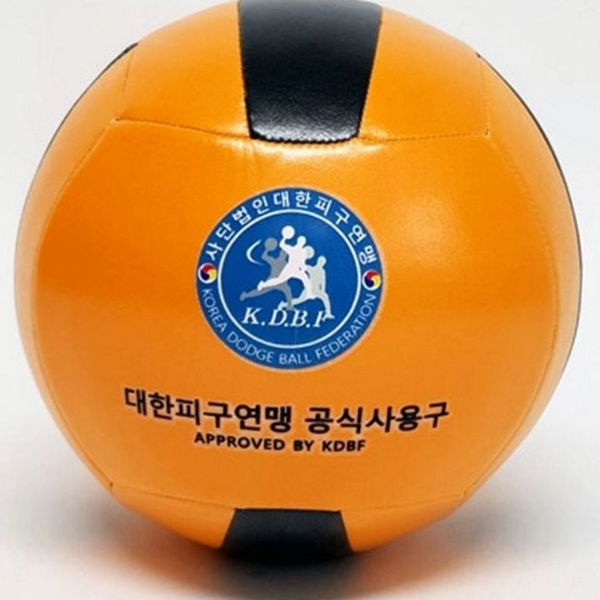 부드러운 피구공 경기용 학교 피구공 실내 실외 안전 - 상품 이미지