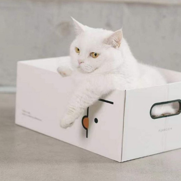 종이 고양이 숨숨 집 오리 고양이 집 박스 쉼터 - 상품 이미지