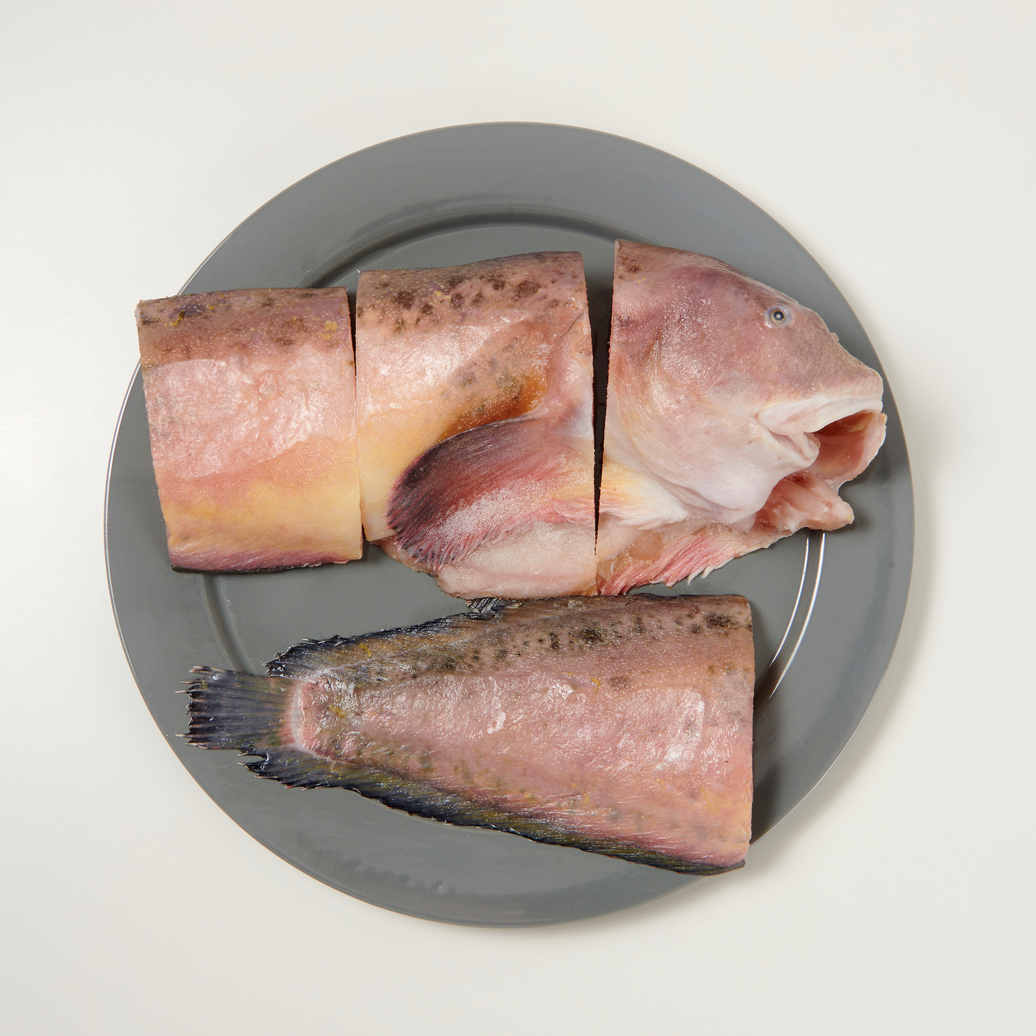 거제산 물메기 꼼치 800g(1미) 손질 토막 급랭 물메기탕 - 상세 이미지 3