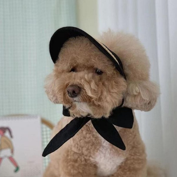리본 강아지 밀짚 모자 패션 반려견 여름 모자 산책 외출 - 상품 이미지