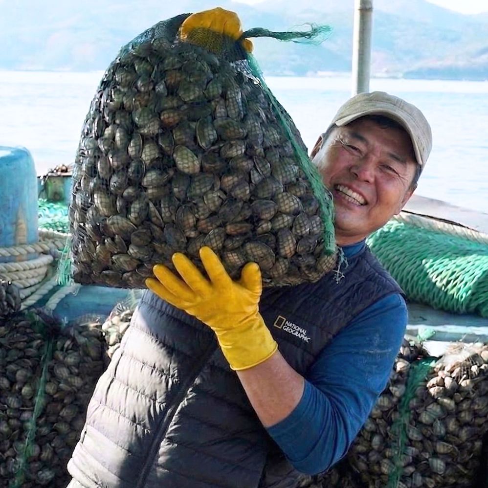 바지락제철시기 문어바지락 물 해감 활 왕 대왕 1kg - 상품 이미지