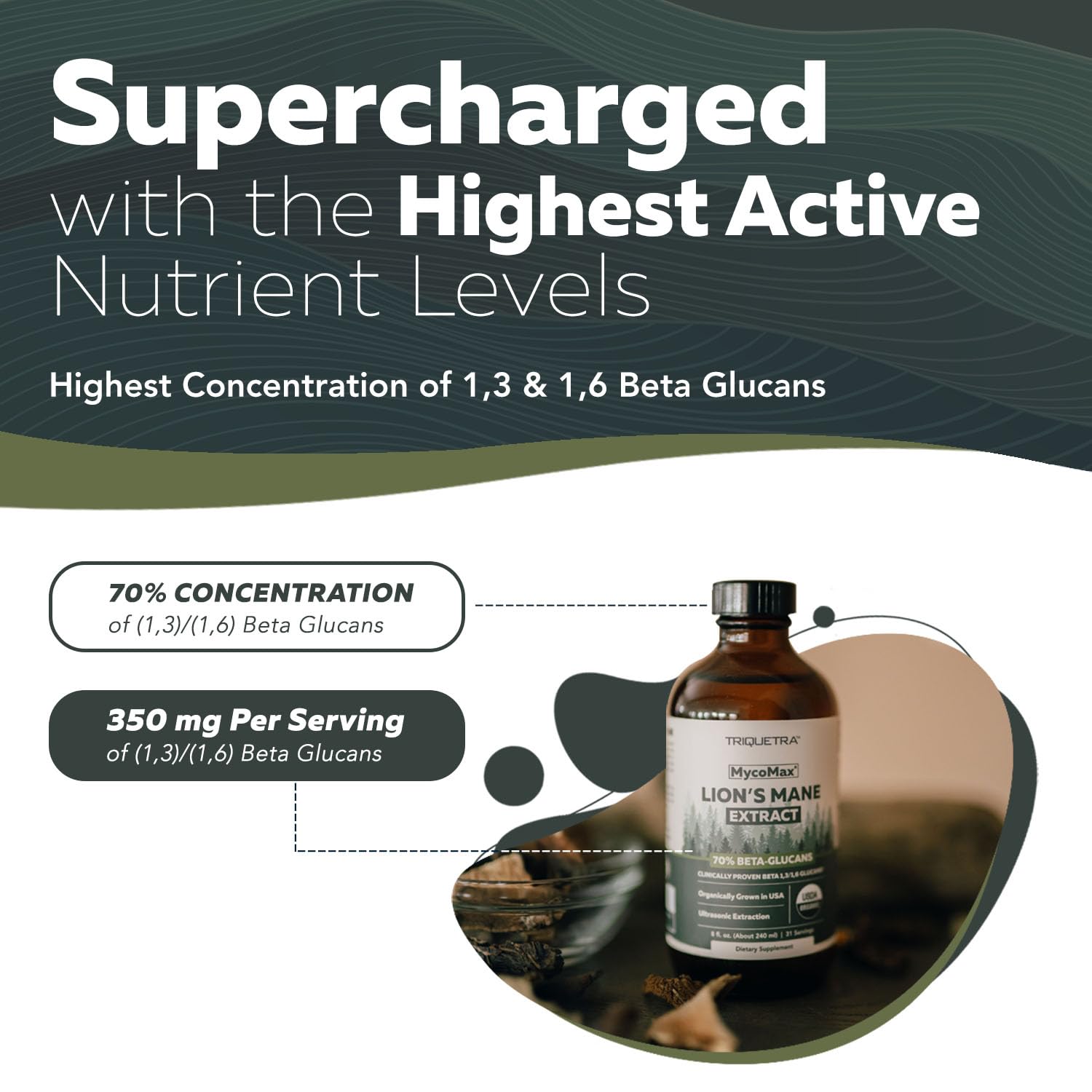 마이코맥스 사자갈기버섯 추출물 베타글루칸 70% 500mg 227그램 - 상세 이미지 3