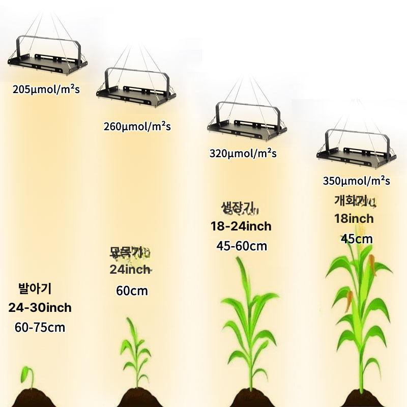 실내 화분 화초 램프 조명 성장 온실 led 과일 비료 인테리어식물 집들이선물 이미지 6