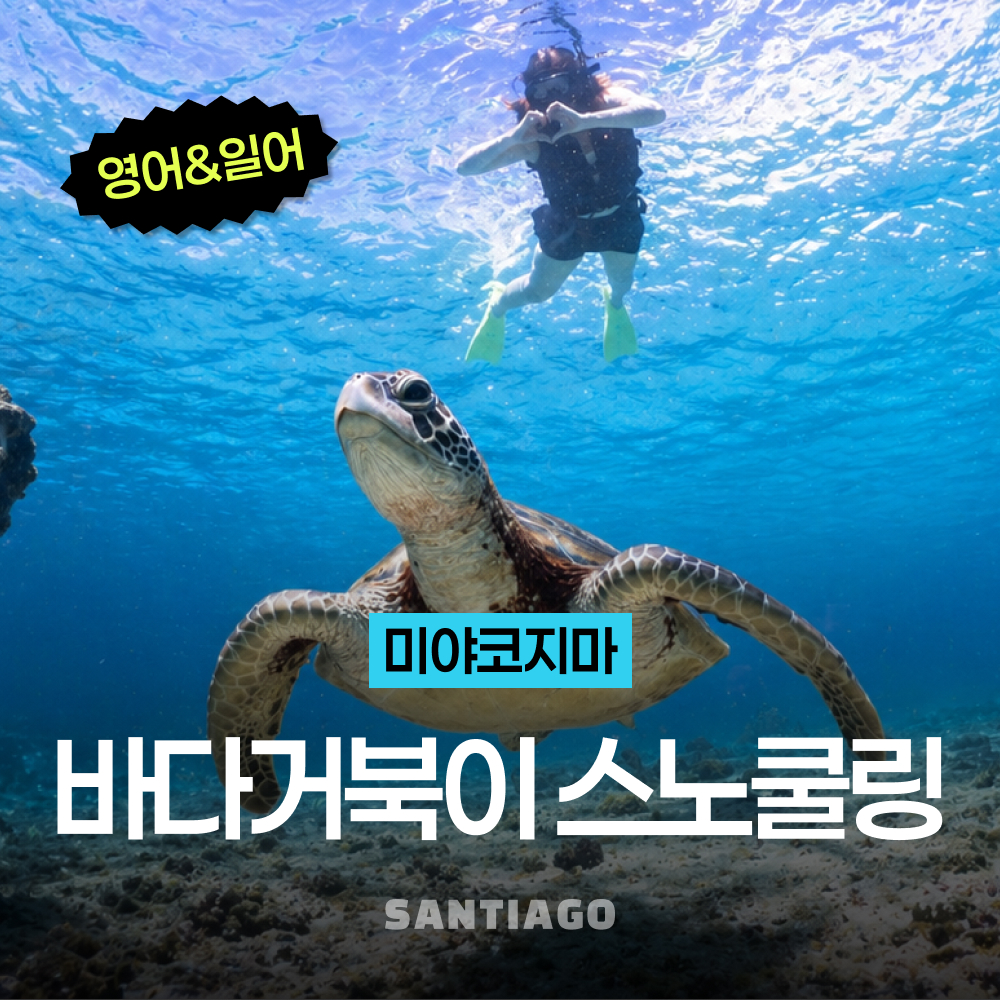 오키나와 미야코지마 바다 거북이 스노클링 호핑투어 영어 일어 대응 픽업드랍 포함 - 상품 이미지