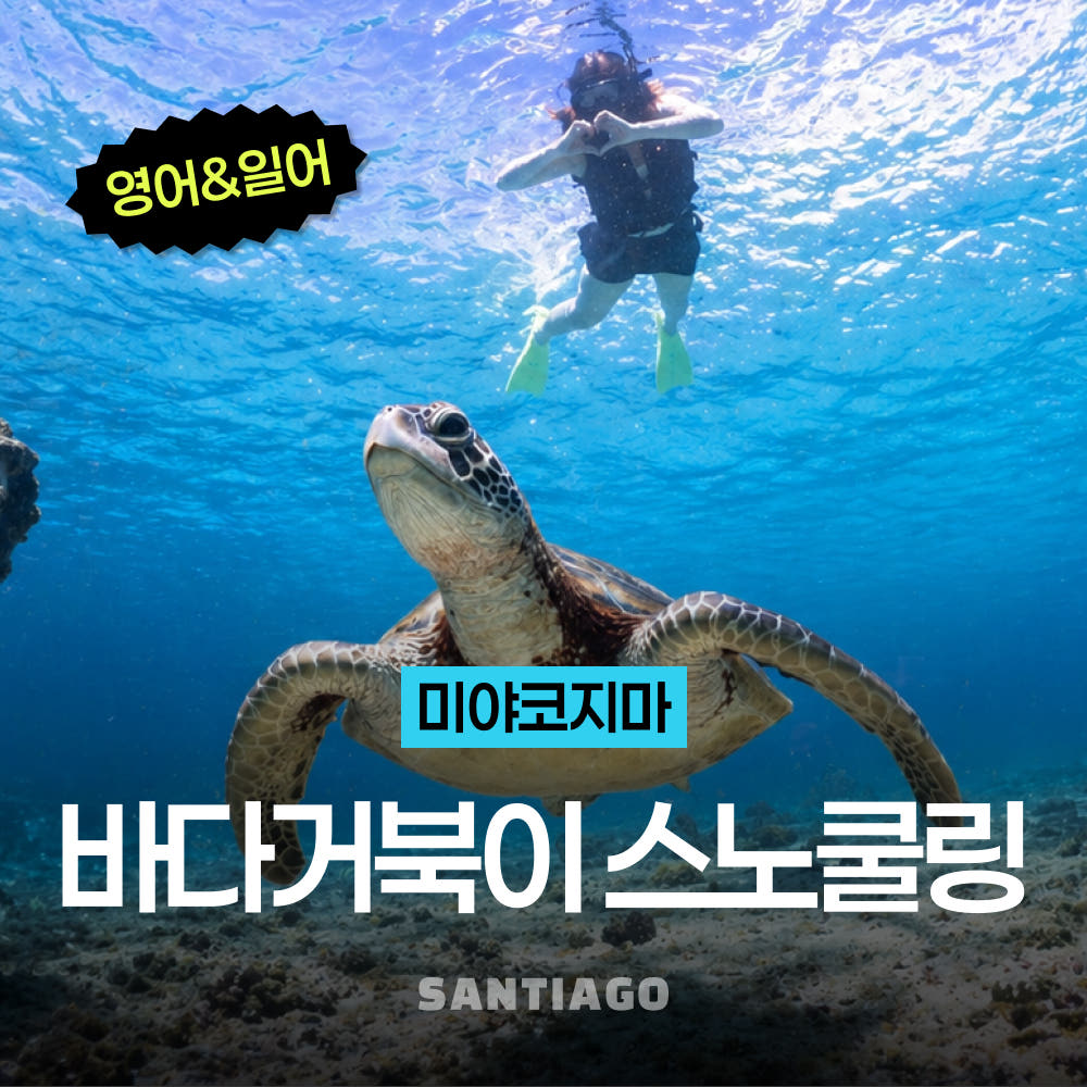 나트랑 산티아고투어 오키나와 미야코지마 바다 거북이 스노클링 호핑투어 영어 일어 대응 픽업드랍 포함
