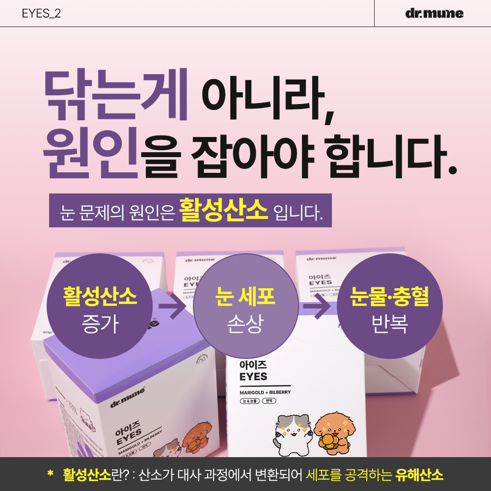 닥터뮨 아이즈 강아지 고양이 눈 영양제 눈물 눈꼽 눈건강 40p - 상세 이미지 4