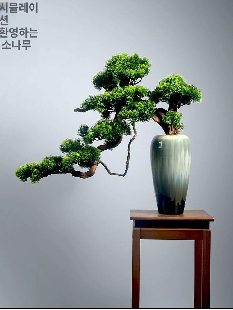 분재 모형 선물 실내 거실 선인장 모조 미니 사무실 식물 소품 스타일 집들이 인조 조화 - 상세 이미지 4