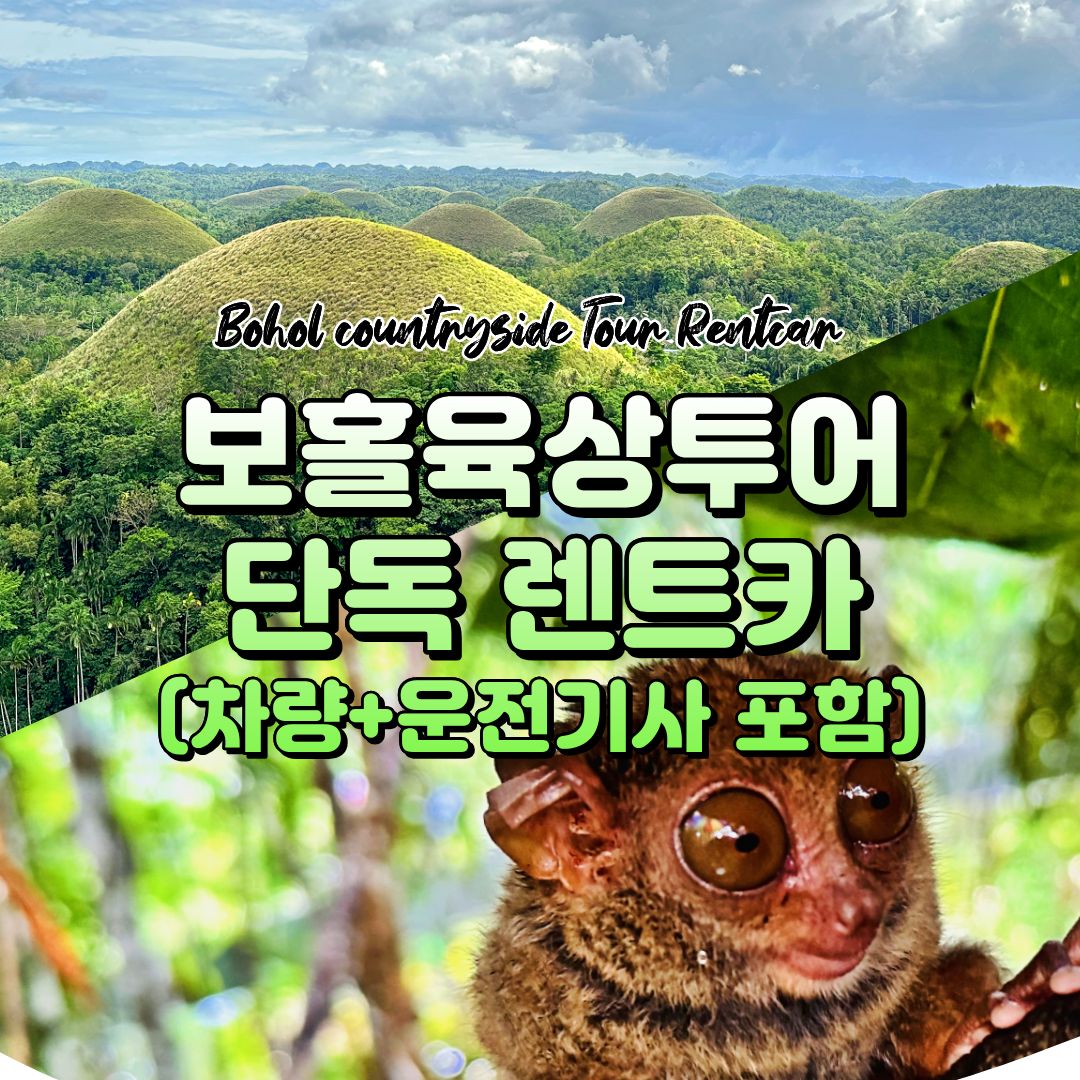 보홀 렌트카 단독 보홀 육상투어 데이투어 8시간차량 운전기사포함 가족여행 단체여행 - 상품 이미지