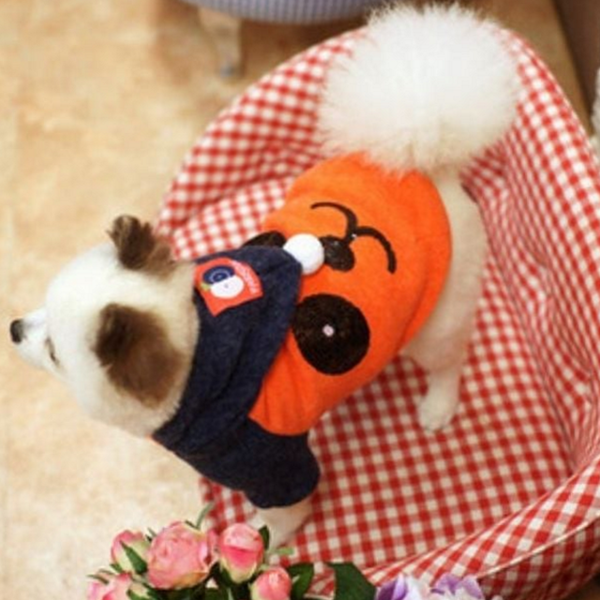 반려동물 강아지 후드 티 고양이 강아지 니트 간절기 겨울 - 상품 이미지