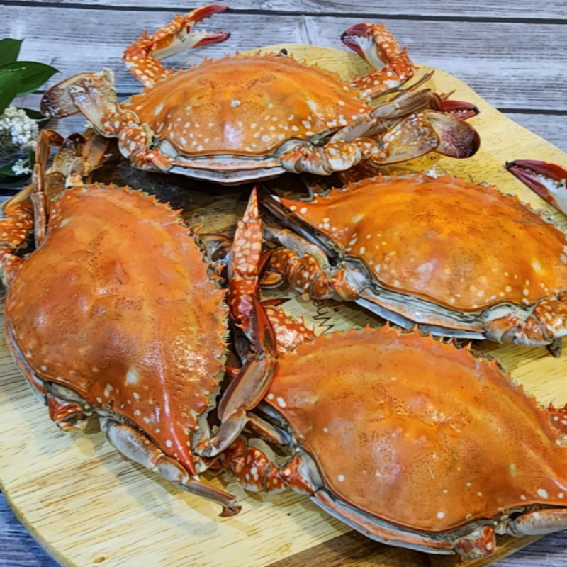 자연가득 국내산 프리미엄 활 숫꽃게 1kg - 상세 이미지 3