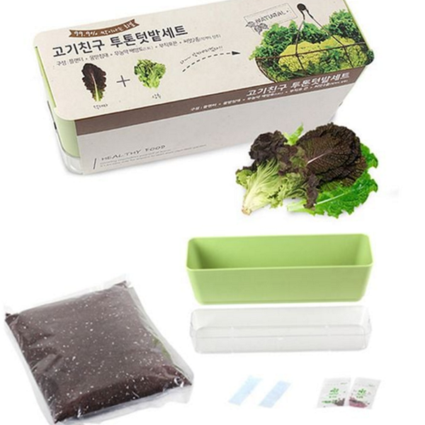 스마트 상추 재배 자동 텃밭 가정용 쌈채소 베란다 키우기 - 상품 이미지