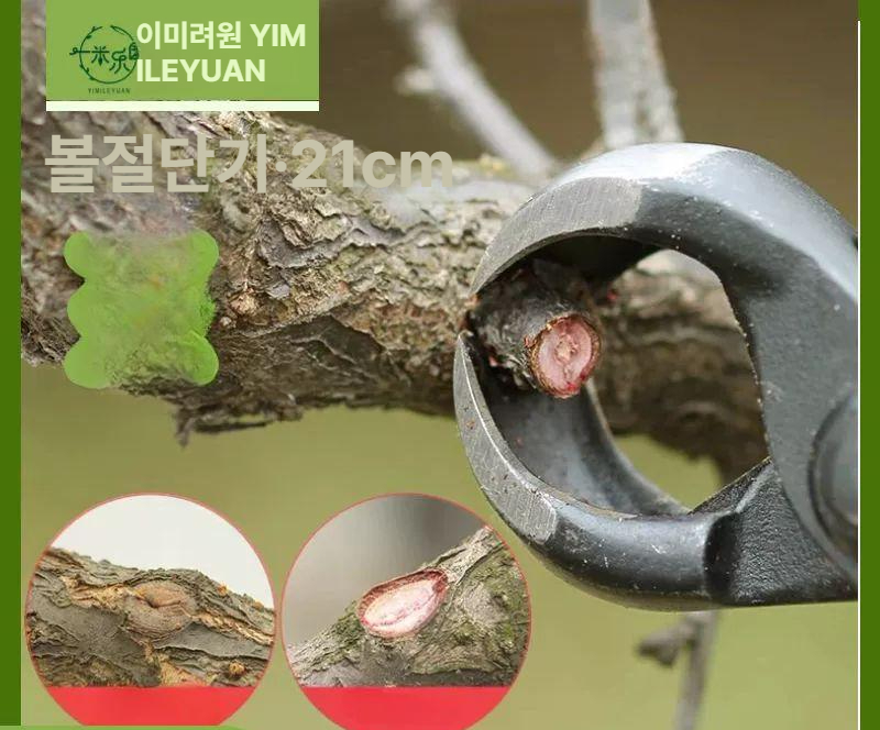 분재 꽃 절단 가위 볼조인트가위 전지 나뭇가지 나무 꽃가위 조경용 도구 원예 조인트 - 상세 이미지 2