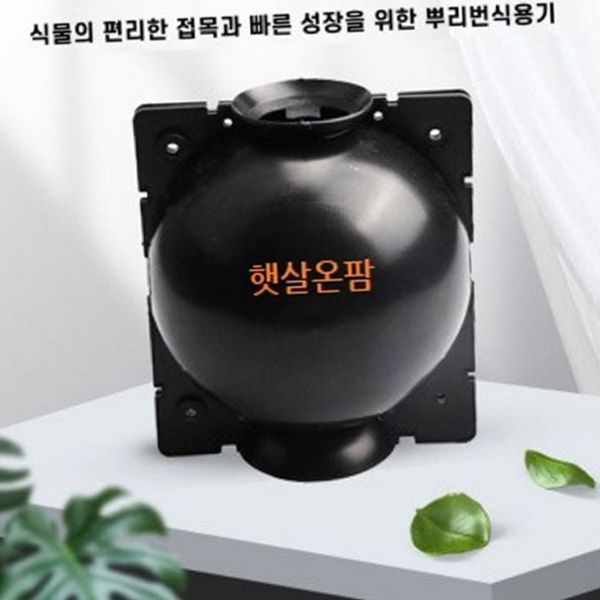 고압 식물 생근기 삽목 식물 뿌리내리기 원예 재배 - 상품 이미지