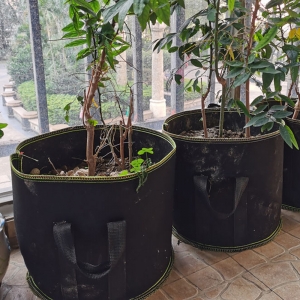 베란다 텃밭 대형 부직포 화분 2p세트 감자 모종화분 - 상품 이미지