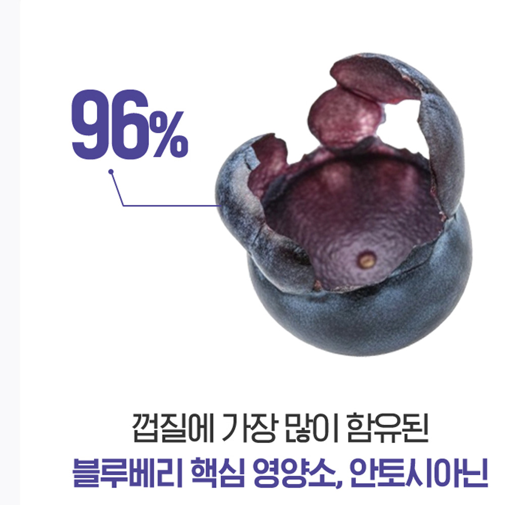 갈아만든 리얼 블루베리 퓨레 100% 원액 생 블루베리 진액 즙 스틱 1+1 안토시아닌 이미지 6