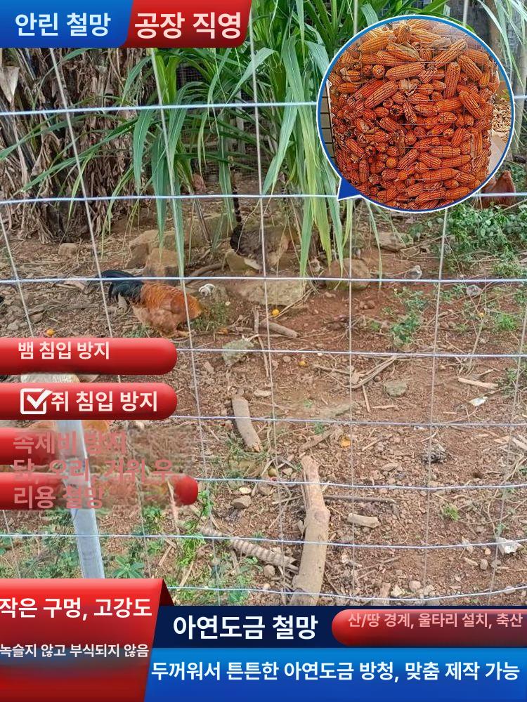사각 철망 울타리 망 철조망 메쉬 능형망 양계 양계망 담장 경계 닭 아연 코팅 구멍 - 상세 이미지 4