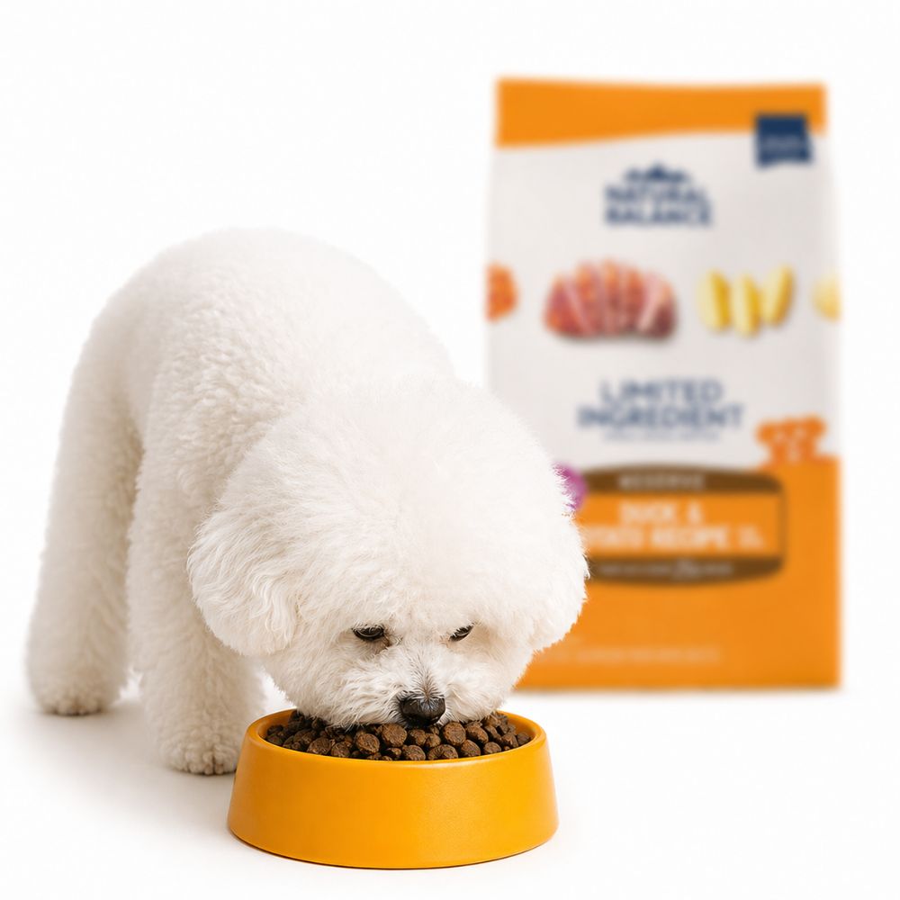 단일 단백질 사료 강아지 피부염 설사 사료 1.1kg - 상품 이미지
