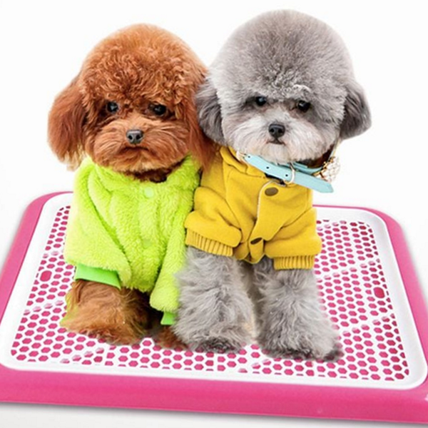 반려동물 반려견 배변판 매쉬 강아지 배변판 화장실 훈련 용품 - 상품 이미지
