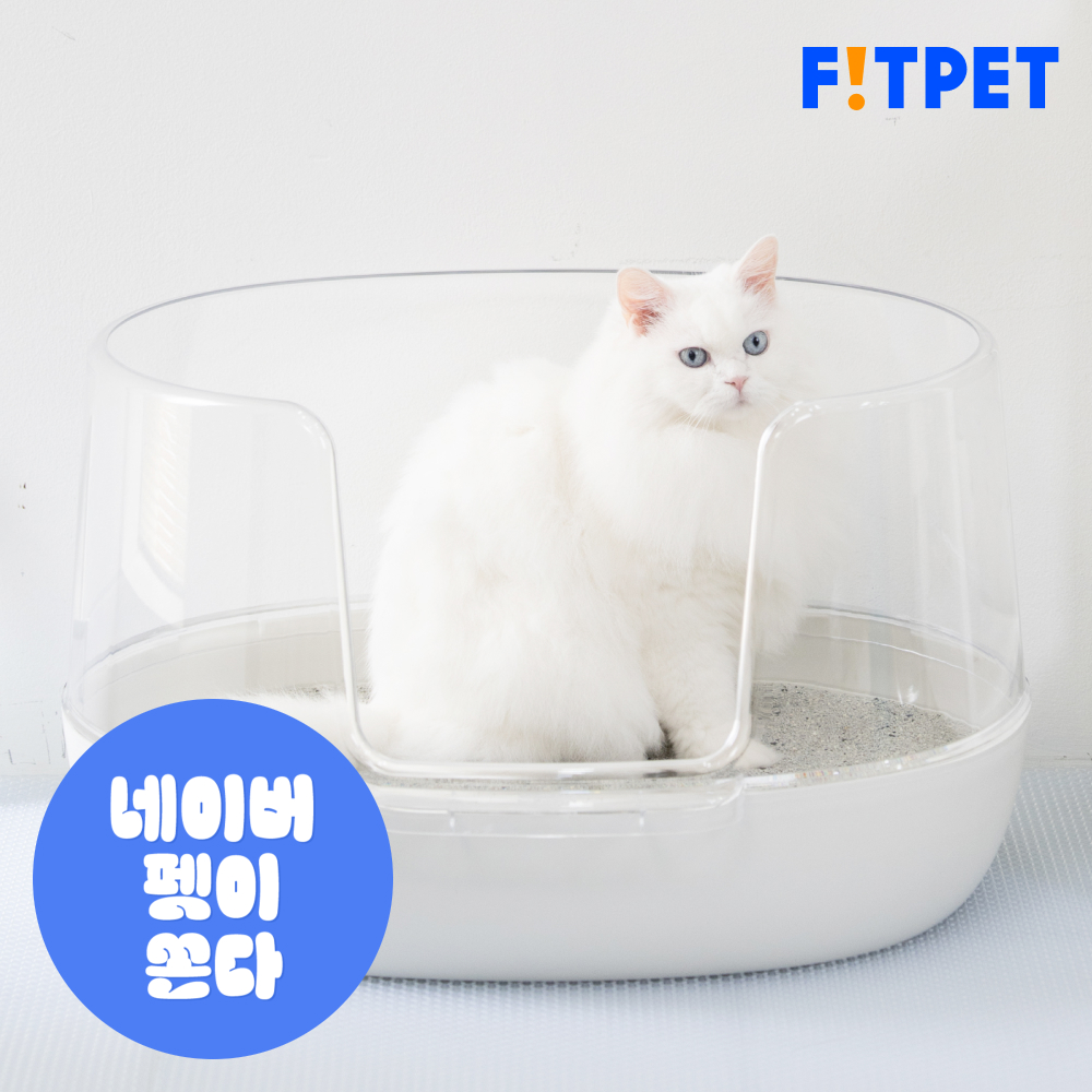 냥쌤 고양이 화장실 투명 대형 다묘 오픈형 배변통 사막화방지