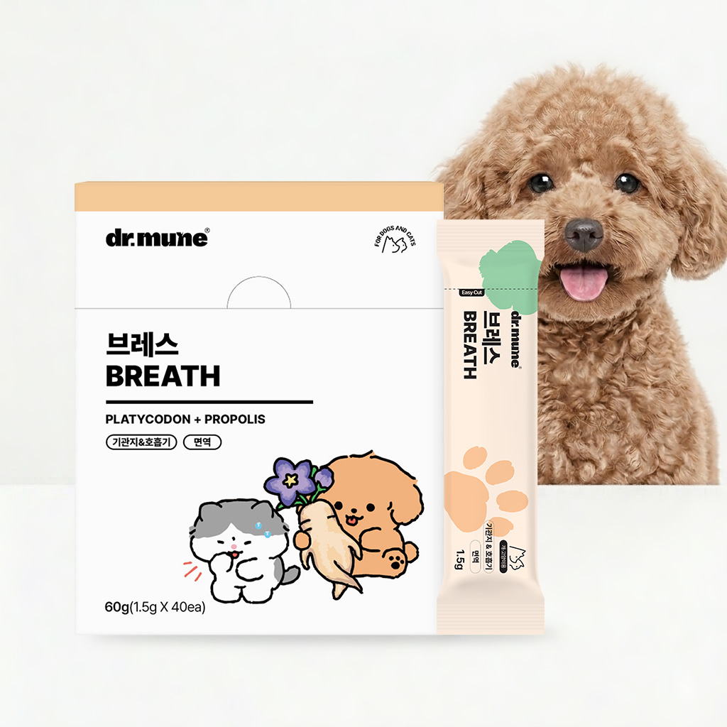 닥터뮨 브레스 강아지 고양이 기관지 영양제 켁켁 기침 호흡기 40p - 상품 이미지