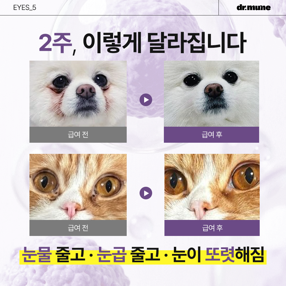 닥터뮨 아이즈 강아지 고양이 눈 영양제 눈물 눈꼽 눈건강 40p 이미지 8