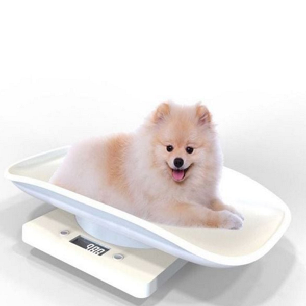 소형 강아지 체중계 반려동물 고양이 체중계 애견 동물 - 상품 이미지