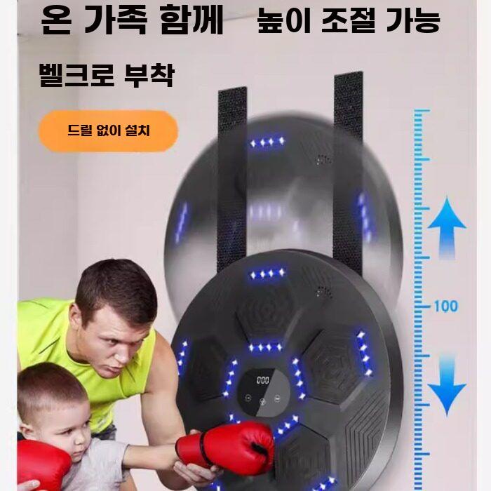 펀치력 측정기 펀치 파워 테스트기 벽걸이 복싱 체육관 펀치파워 단품 - 상세 이미지 2