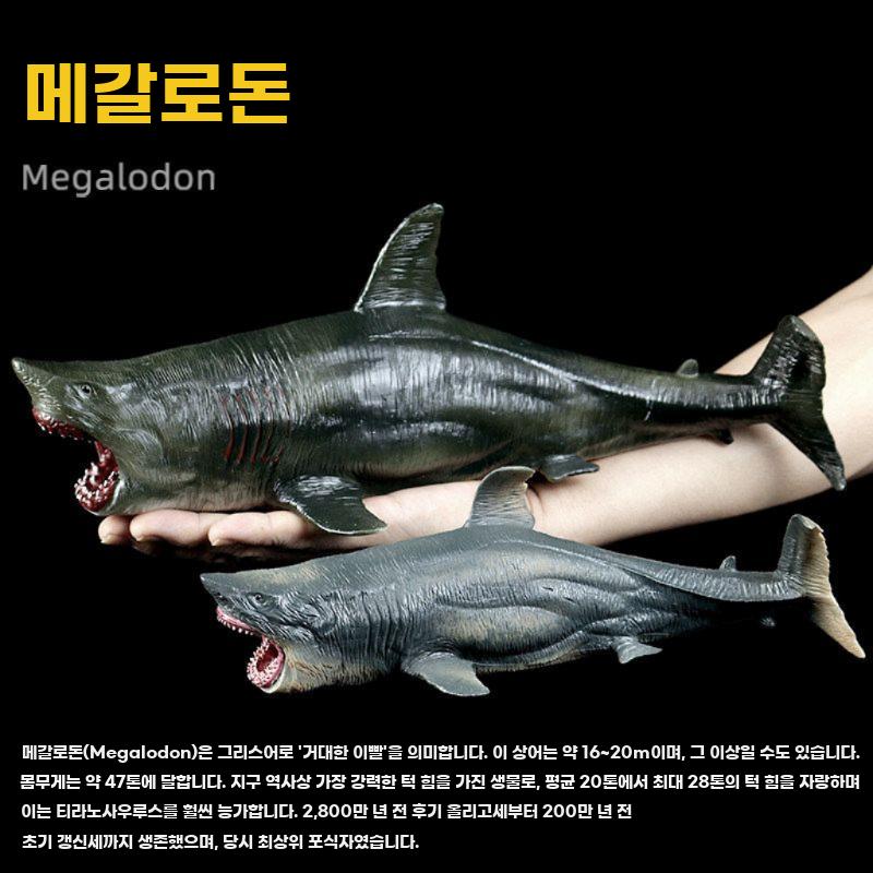 메갈로돈 피규어 고대 상어 모형 모델 메가로돈 모사사우루스 메갈로돈 상어 - 상세 이미지 3